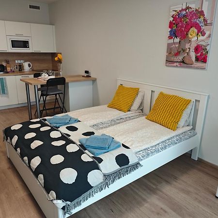 פראג Comfort Flat With Great Location מראה חיצוני תמונה